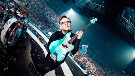 mark hoppus ernie ball bass.